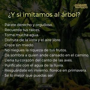 Meet your Posher, Isabel